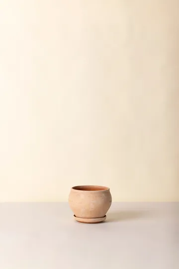 Delphi pot with saucer, 2 pieces - Pink, Ø24 cm, low - Bergs Potter