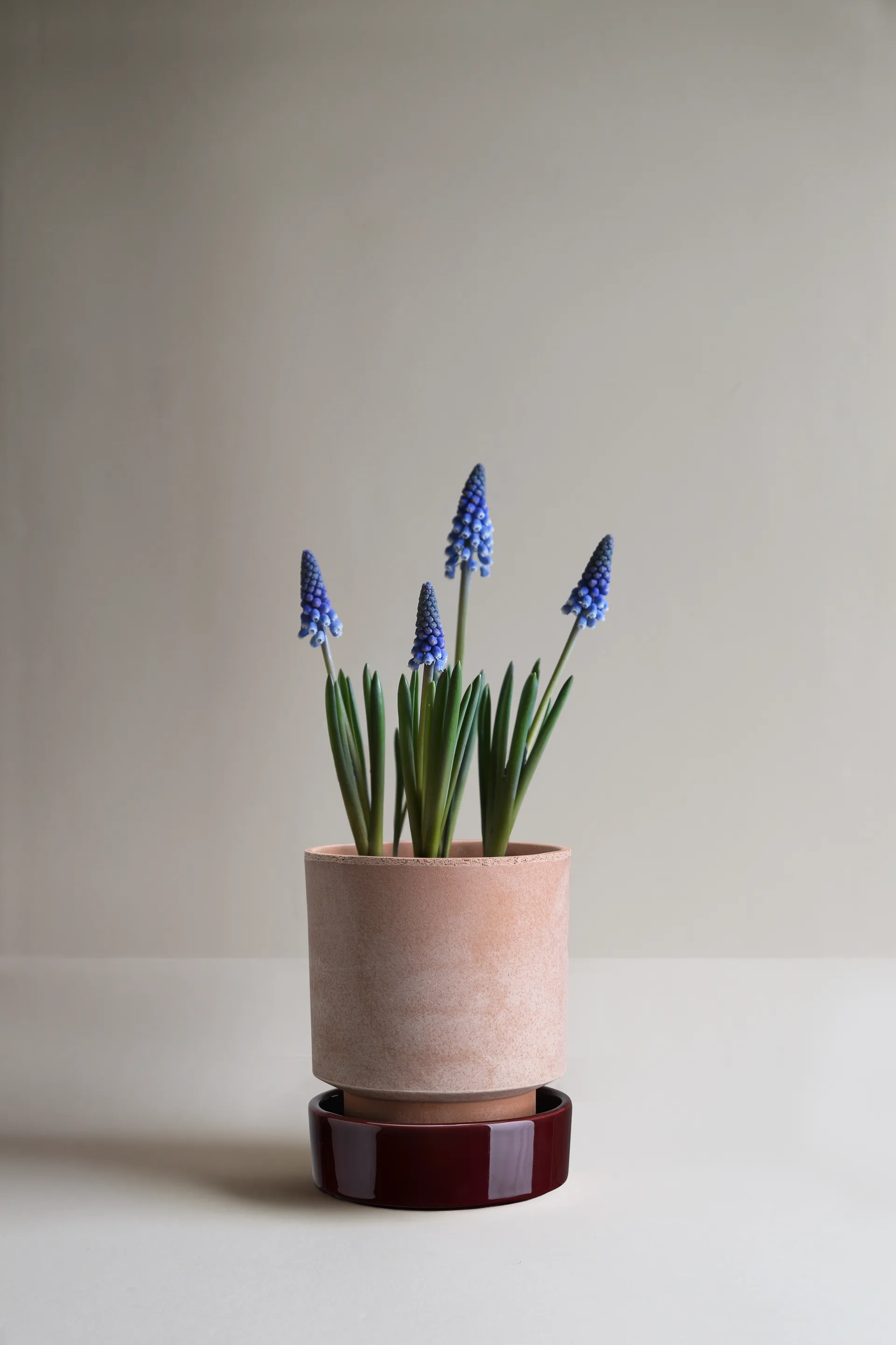 Hoff plant pot, Ø14 cm, Raw Rosa-Deep Burgundy (pink-red) Bergs Potter