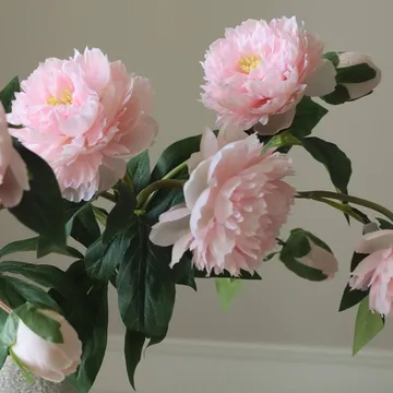 Artificial peony bouquet - Medium, pink 5 pcs - Botané