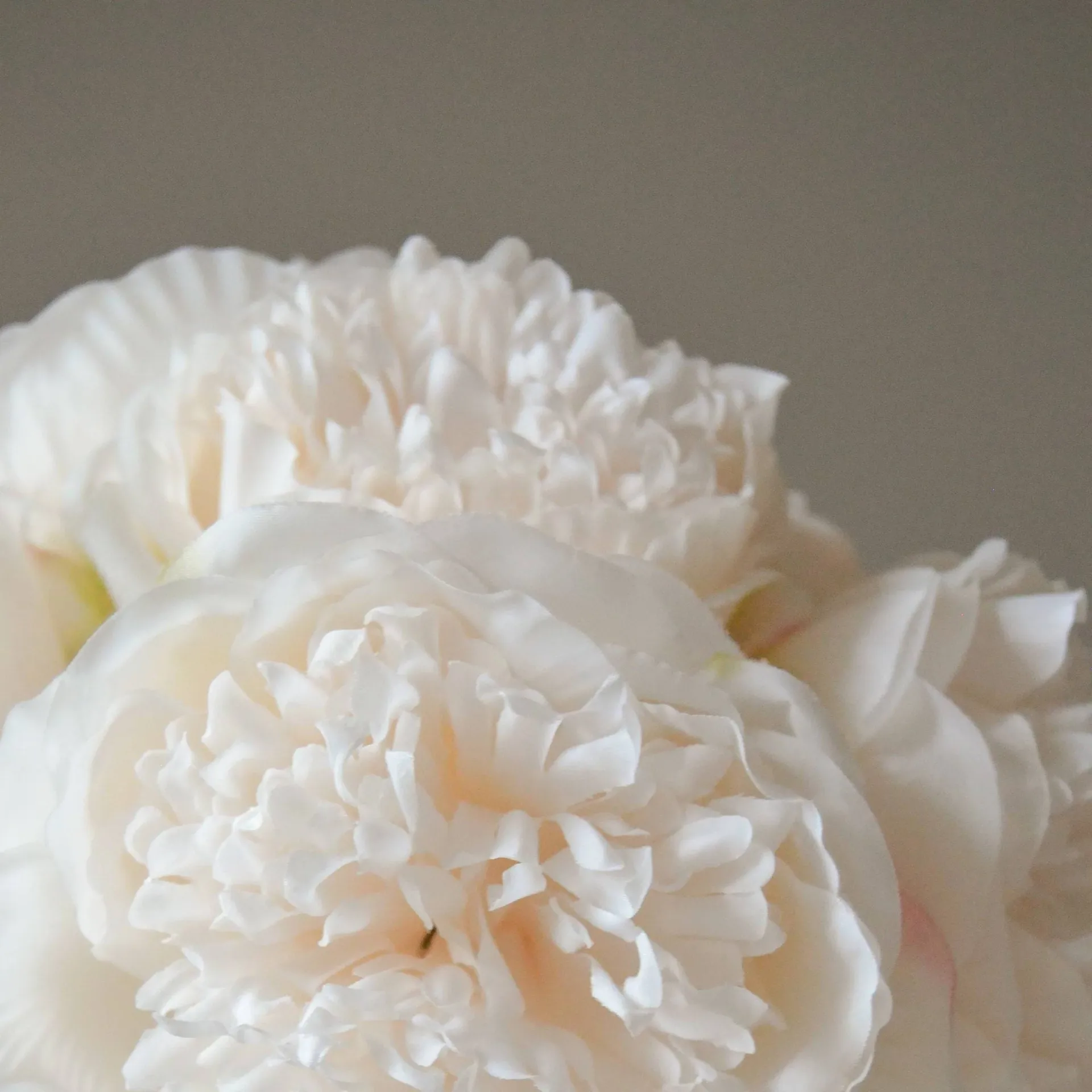 Artificial peony bouquet, Mini, Cream 10 pcs Botané