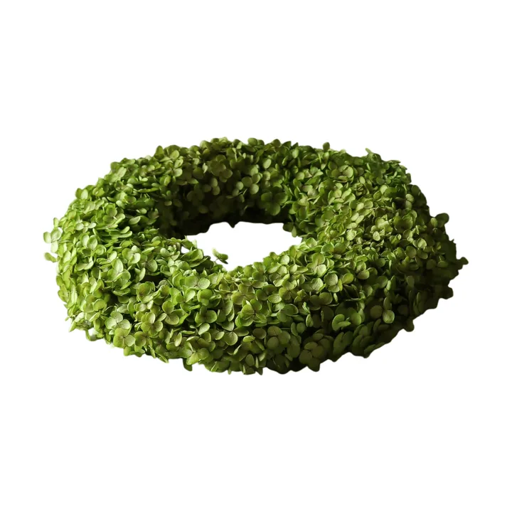 Hortensia Wreath flower wreath - Light green, Ø40 cm - Botané