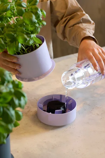 Billund self-watering herb pot - Parsley - Crushgrind