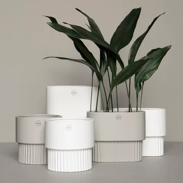 Front flower pot oval high - white - DBKD