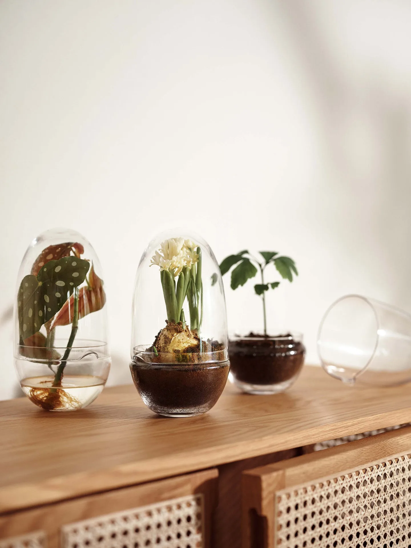 Grow greenhouse, Medium Ø11 cm Design House Stockholm