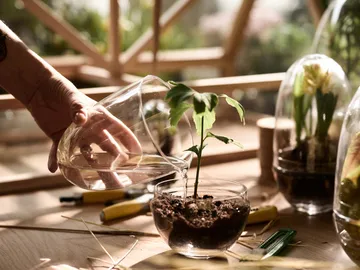 Grow greenhouse - Medium Ø11 cm - Design House Stockholm