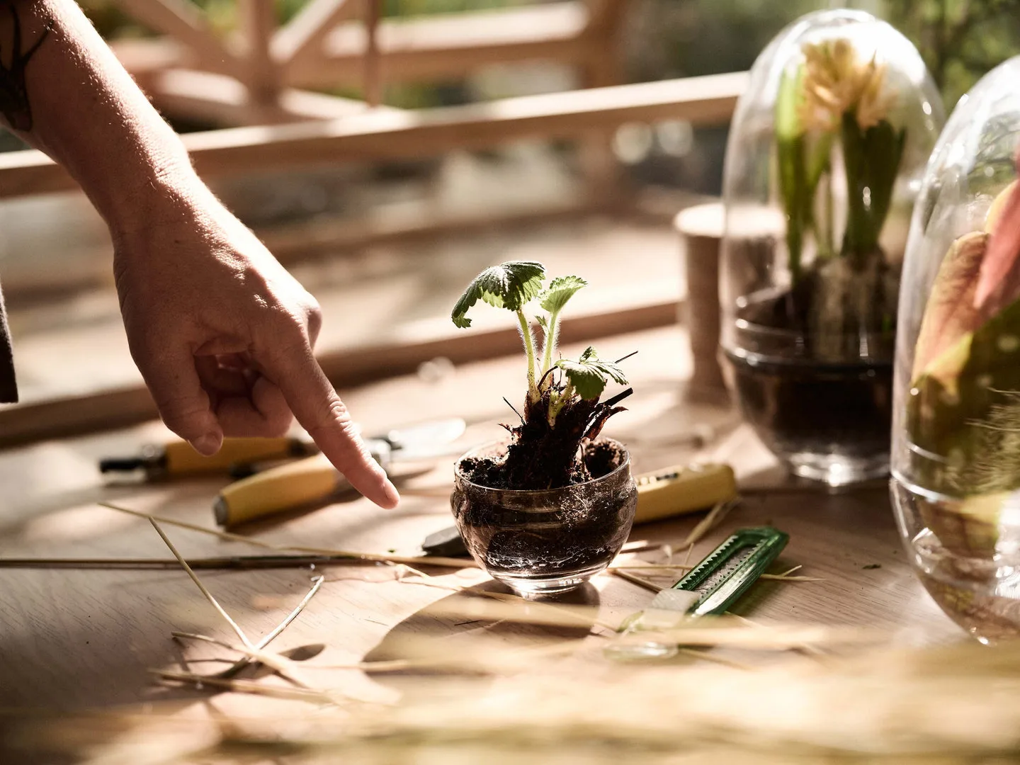 Grow greenhouse, small Ø8 cm Design House Stockholm