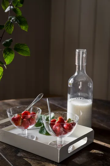 Ernst bowl bubbly glass 2-pack - Clear - ERNST