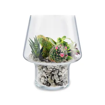 Eva Solo glass vase for succulents - Ø15 cm - Eva Solo