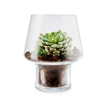 Eva Solo glass vase for succulents - Ø15 cm - Eva Solo