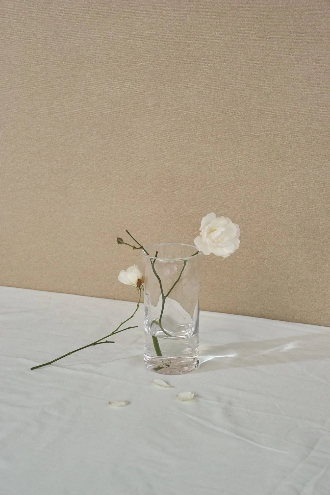 0405 Vase, Clear, Ø9,5x20 cm FRAMA