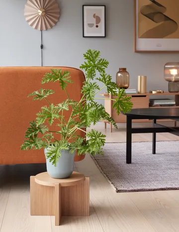 Pliss wall lamp - Beige - Hübsch