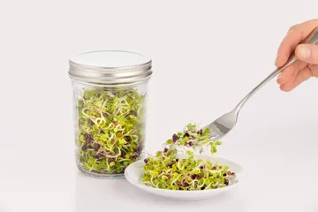 Kilner sprouting set - Clear-white, 500 ml - Kilner