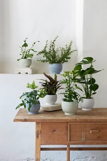 Knabstrup flower pot fluted Ø16.5 cm - Mintgreen - Knabstrup Keramik