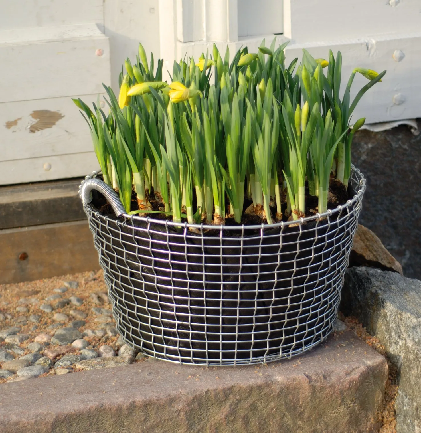 Plant bag for the Korbo basket 3-pack, 35 l KORBO