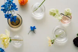 Kappa vase 56 mm - Clear - Kosta Boda