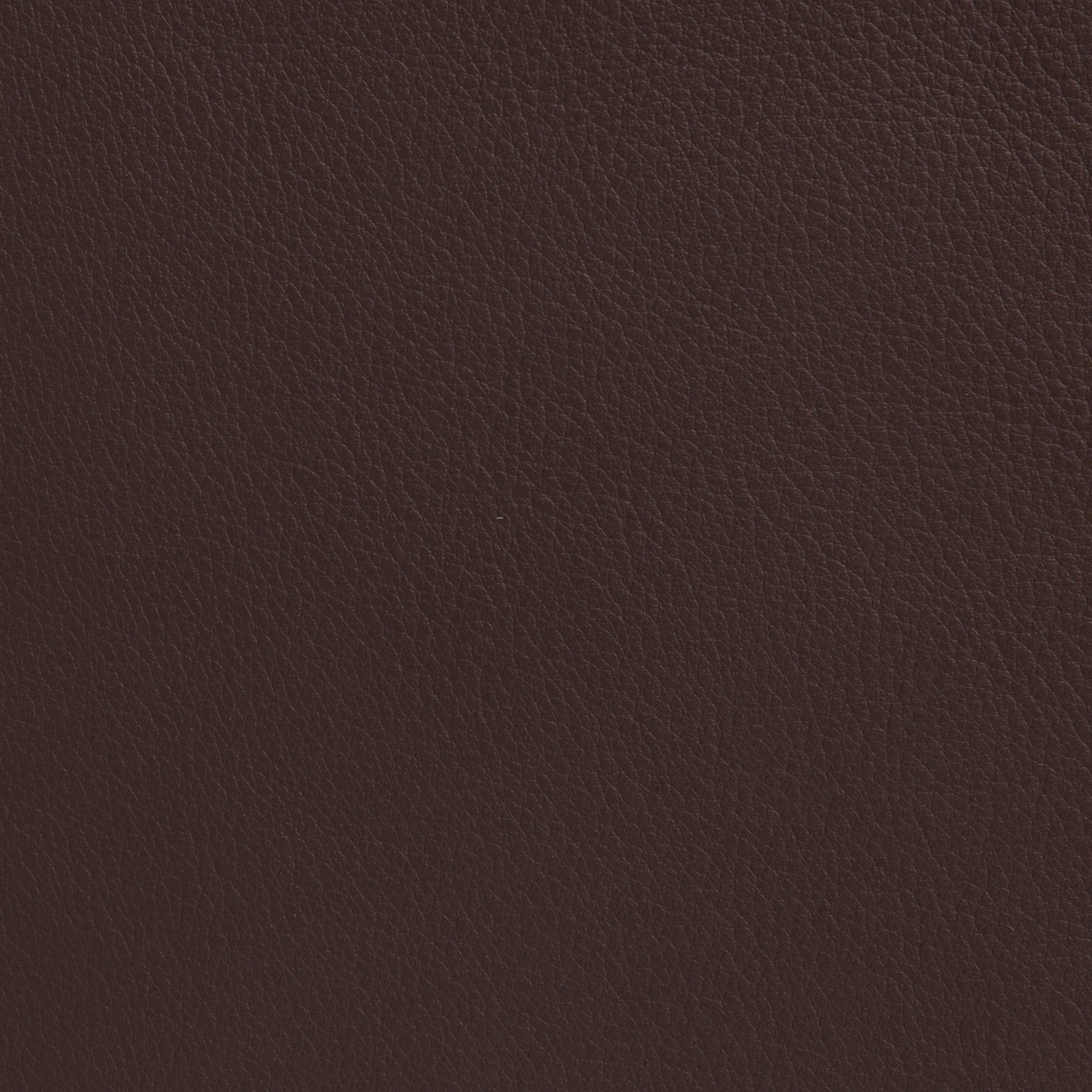 Cinema armchair, Elmo Nordic leather dark brown–chrome frame Lammhults