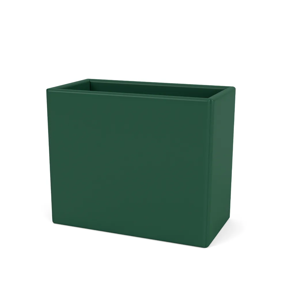 Collect organiser, Pine 136 Montana