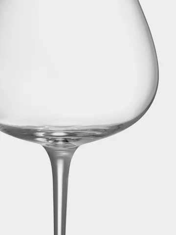 Aroma gin & tonic glass 71 cl 4-pack - Clear - Orrefors