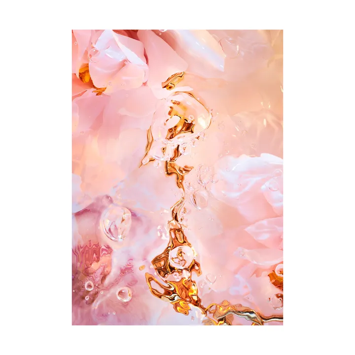 Flora Aquatica 02 poster - 70x100 cm - Paper Collective