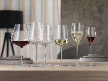 Definition Burgundy red wine glasses 96 cl 2-pack - Clear - Spiegelau