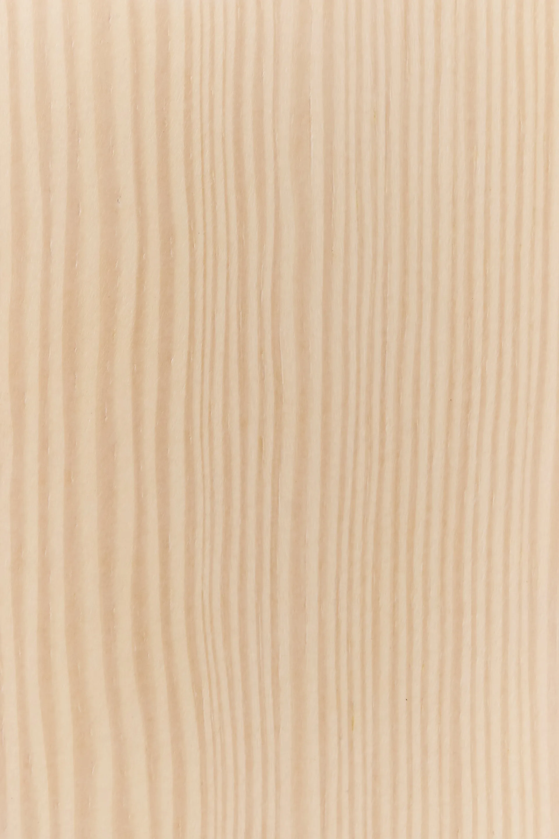 Tree wall wall-mounted coat rack Special Edition 194 cm, White pigmented pine Swedese