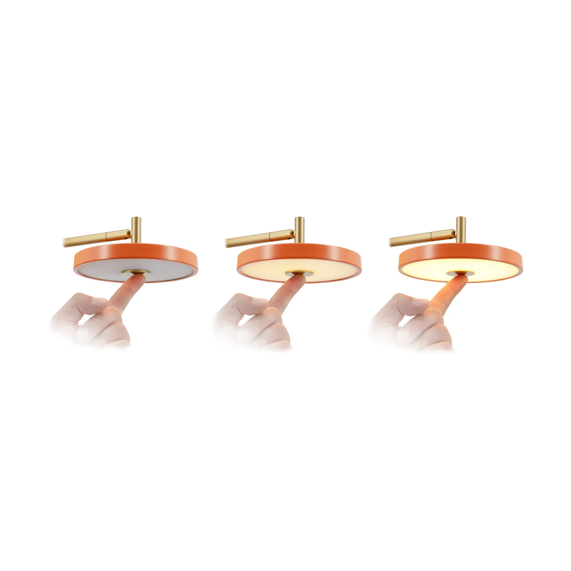 Asteria Wall wall lamp, Long, Nuance mist-brass Umage