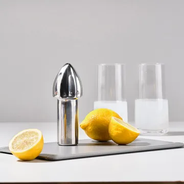 Rocks citrus press - stainless steel - Zone Denmark