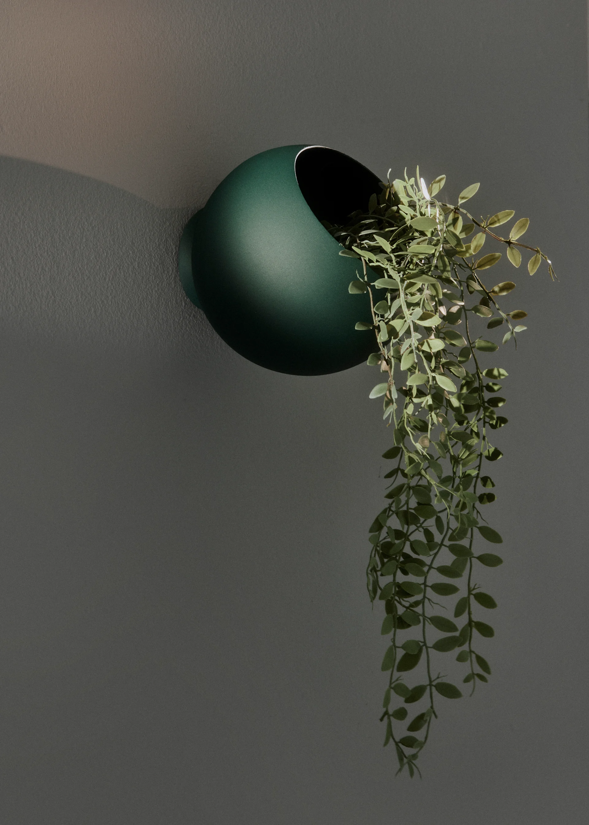 Dark green spherical wall planter with trailing green faux plants on a dark grey wall.