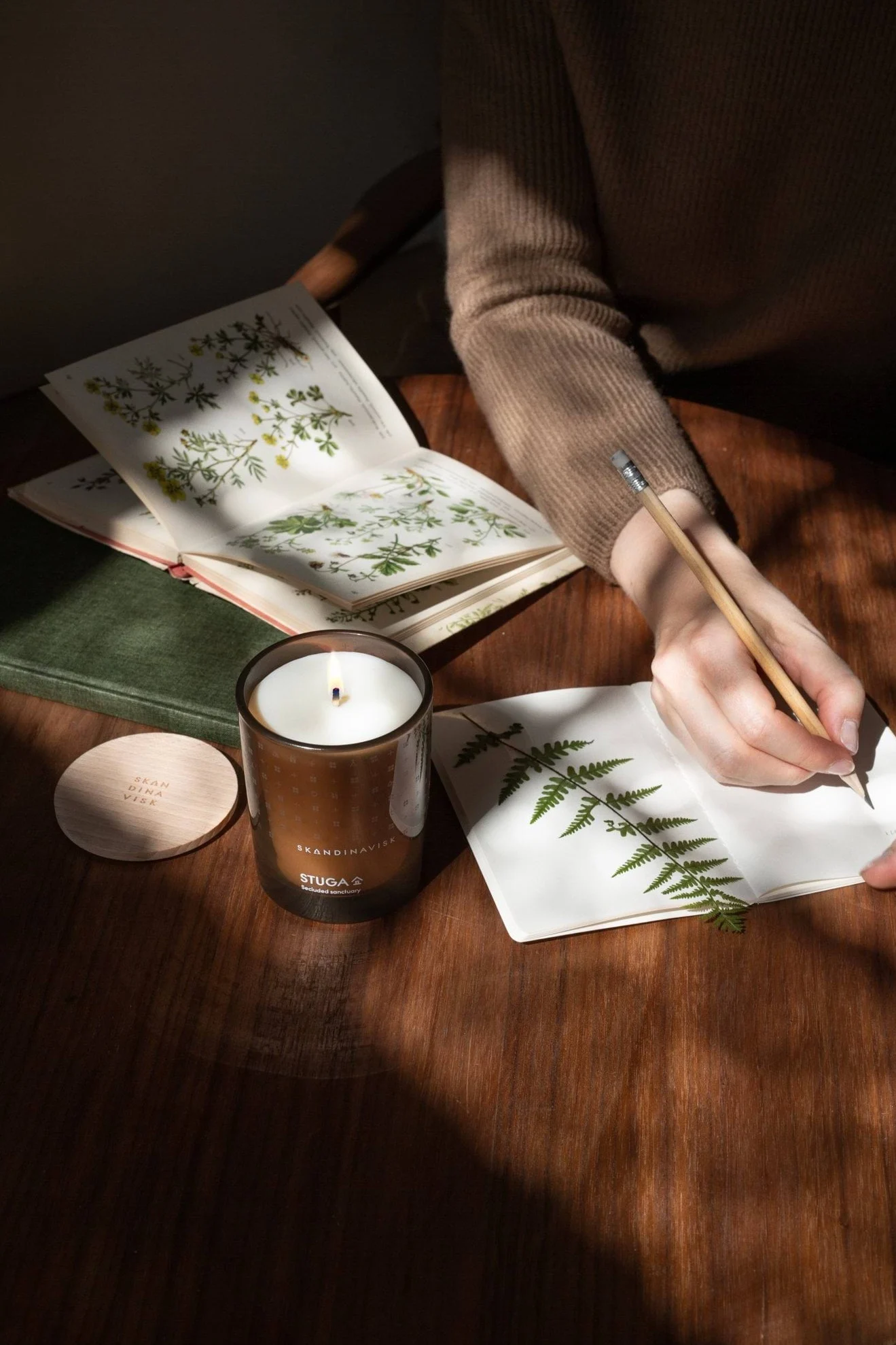 Person writing in a notebook with a fern, a lit candle, and an open botanical book on a wooden table.