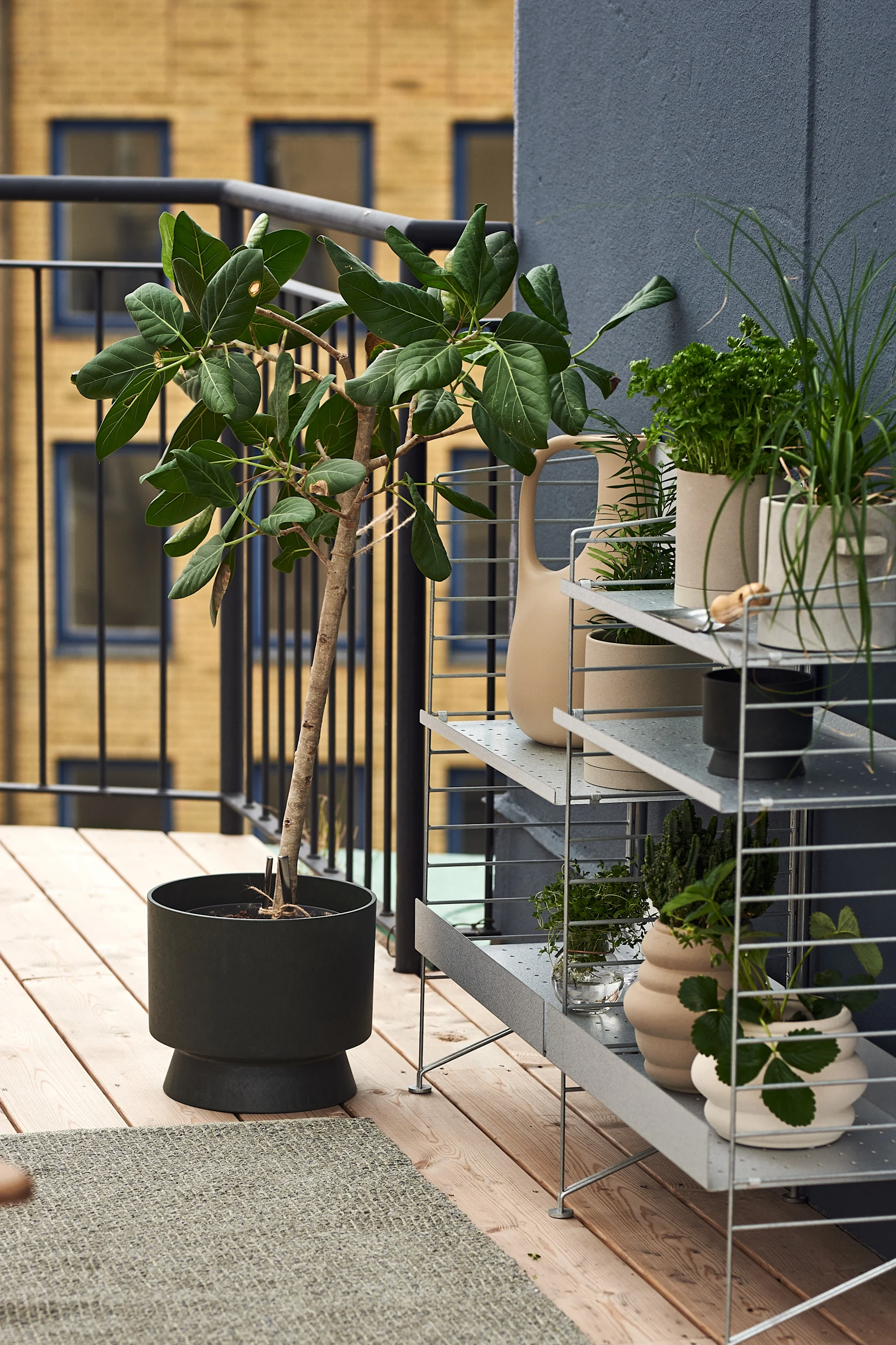 Decorate your balcony with large pots and plants from the mediterranean.