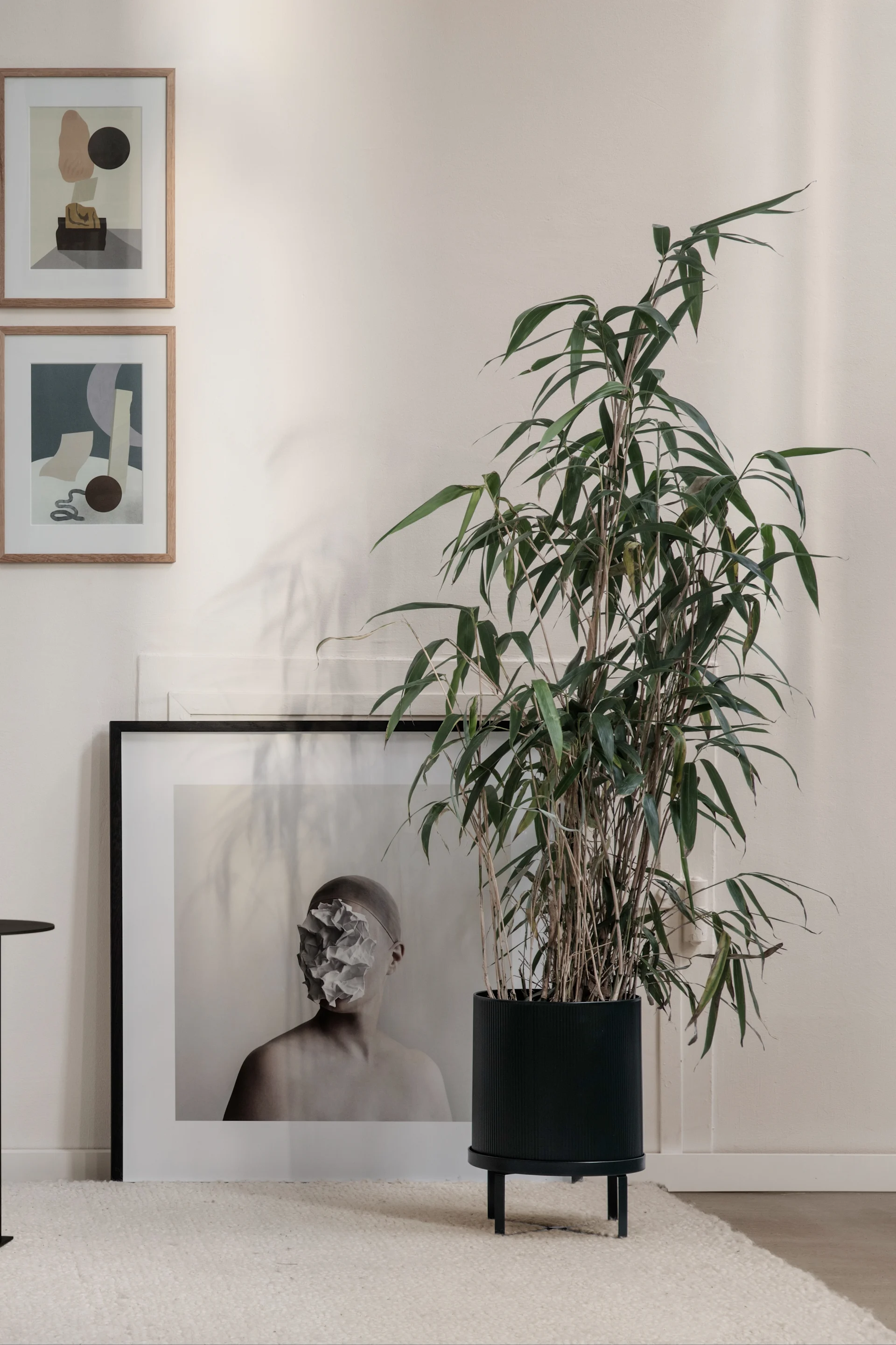 A tall green plant in a black ribbed pot on legs, next to a large framed print of a person with a crumpled paper face, and two abstract wall prints.