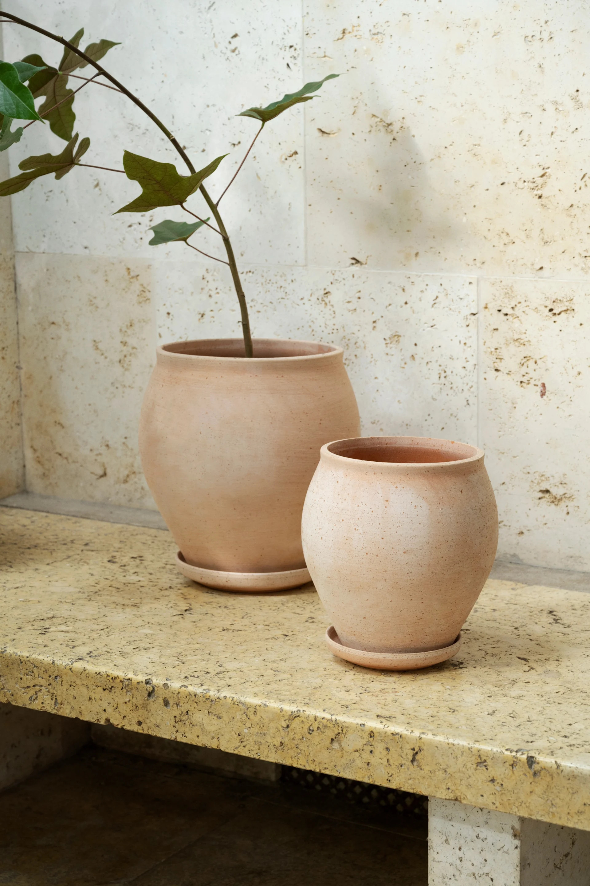 Two unglazed terracotta pots, one larger with a green-leafed plant and one smaller, sit on a textured stone surface against a textured wall.