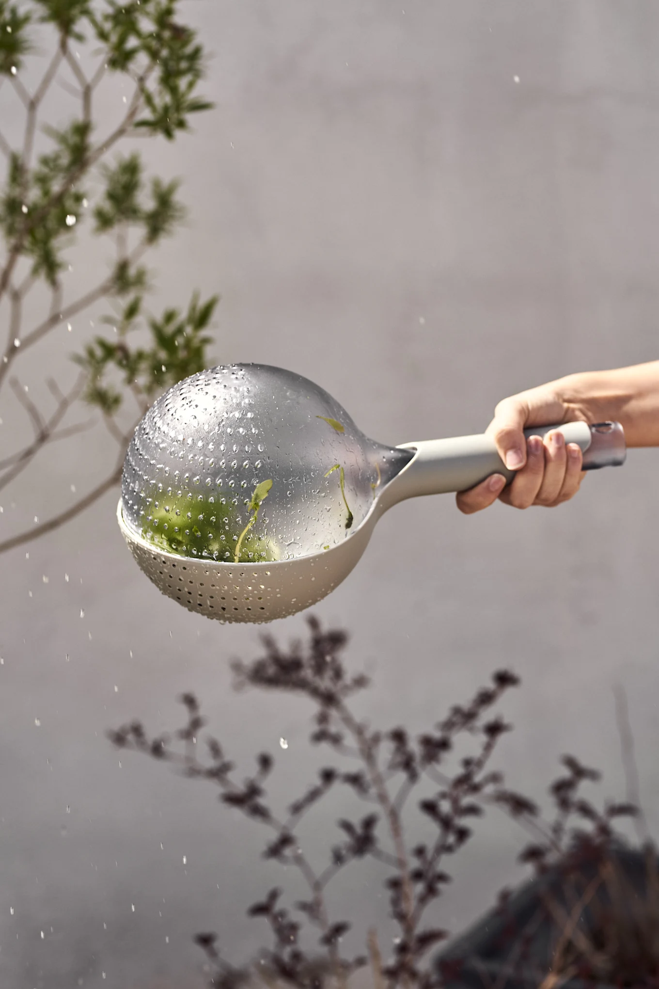 A hand holds a gray colander with a clear, water-droplet-covered lid, rinsing green sprouts.
